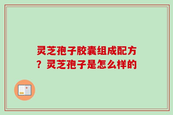 灵芝孢子胶囊组成配方？灵芝孢子是怎么样的