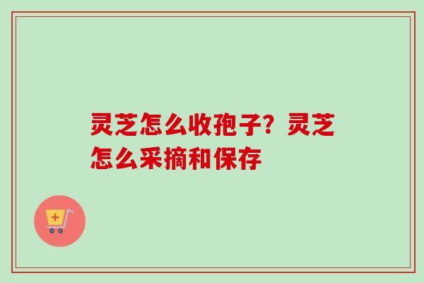 灵芝怎么收孢子?灵芝怎么采摘和保存 灵芝怎么收孢子?灵芝怎么采摘和保存