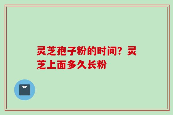 灵芝孢子粉的时间？灵芝上面多久长粉