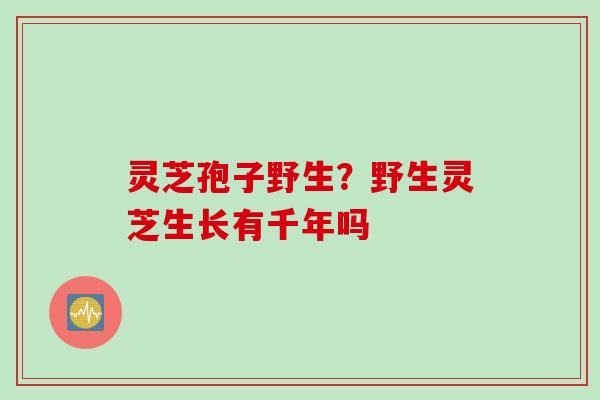 灵芝孢子野生？野生灵芝生长有千年吗
