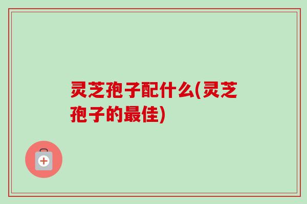 灵芝孢子配什么(灵芝孢子的最佳)