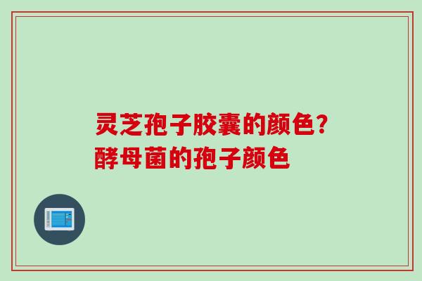灵芝孢子胶囊的颜色？酵母菌的孢子颜色