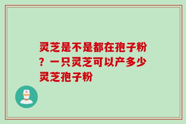 灵芝是不是都在孢子粉？一只灵芝可以产多少灵芝孢子粉