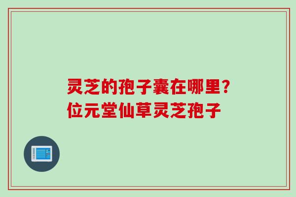 灵芝的孢子囊在哪里？位元堂仙草灵芝孢子