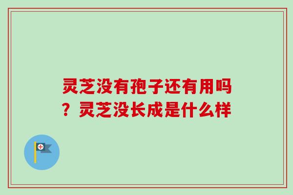 灵芝没有孢子还有用吗？灵芝没长成是什么样