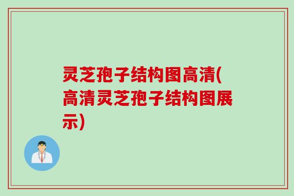 灵芝孢子结构图高清(高清灵芝孢子结构图展示)