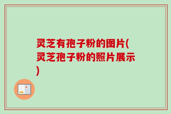 灵芝有孢子粉的图片(灵芝孢子粉的照片展示)