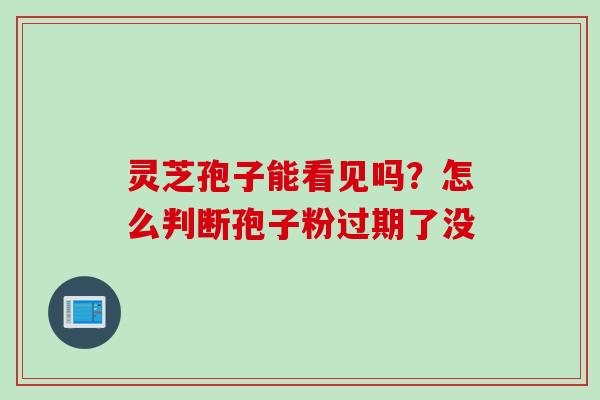 灵芝孢子能看见吗？怎么判断孢子粉过期了没