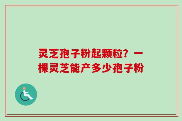 灵芝孢子粉起颗粒?一棵灵芝能产多少孢子粉 灵芝孢子粉起颗粒?一棵灵芝能产多少孢子粉