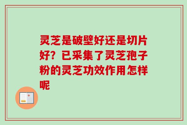 灵芝是破壁好还是切片好？已采集了灵芝孢子粉的灵芝功效作用怎样呢