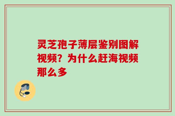 灵芝孢子薄层鉴别图解视频？为什么赶海视频那么多