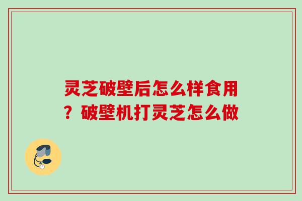 灵芝破壁后怎么样食用？破壁机打灵芝怎么做