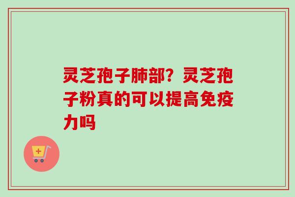灵芝孢子肺部？灵芝孢子粉真的可以提高免疫力吗
