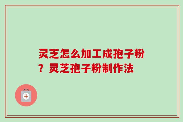 灵芝怎么加工成孢子粉？灵芝孢子粉制作法