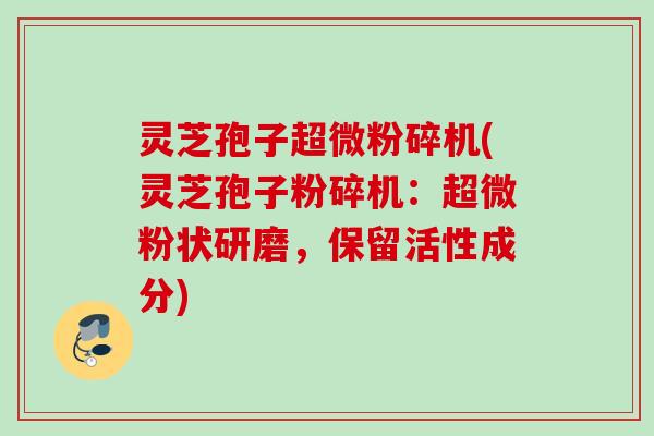 灵芝孢子超微粉碎机(灵芝孢子粉碎机：超微粉状研磨，保留活性成分)
