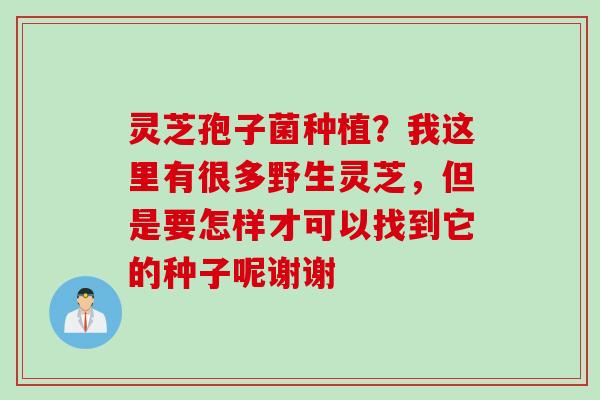 灵芝孢子菌种植？我这里有很多野生灵芝，但是要怎样才可以找到它的种子呢谢谢
