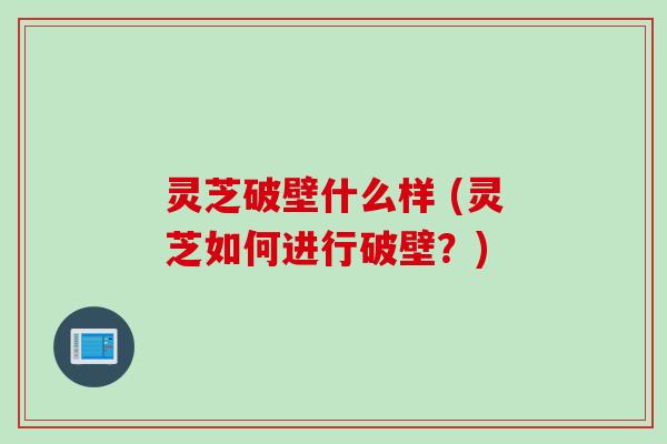 灵芝破壁什么样 (灵芝如何进行破壁？)