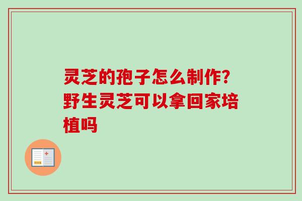 灵芝的孢子怎么制作？野生灵芝可以拿回家培植吗