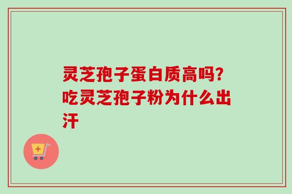 灵芝孢子蛋白质高吗？吃灵芝孢子粉为什么出汗