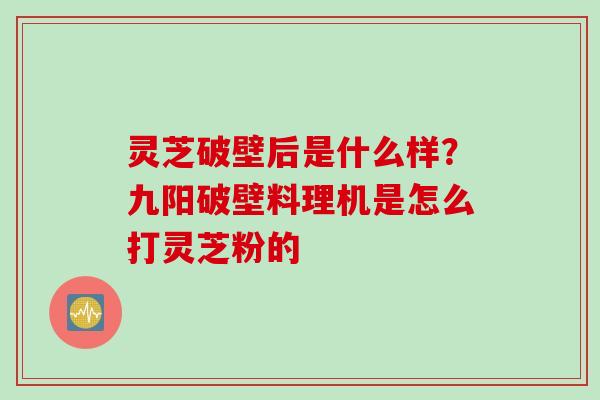 灵芝破壁后是什么样？九阳破壁料理机是怎么打灵芝粉的