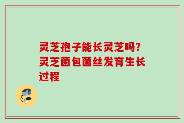 灵芝孢子能长灵芝吗?灵芝菌包菌丝发育生长过程 灵芝孢子能长灵芝吗?灵芝菌包菌丝发育生长过程