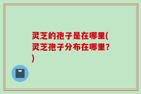 灵芝的孢子是在哪里(灵芝孢子分布在哪里？)