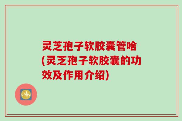 灵芝孢子软胶囊管啥 (灵芝孢子软胶囊的功效及作用介绍)