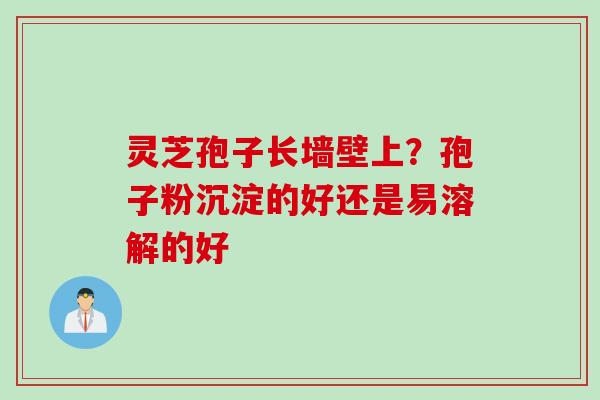 灵芝孢子长墙壁上？孢子粉沉淀的好还是易溶解的好