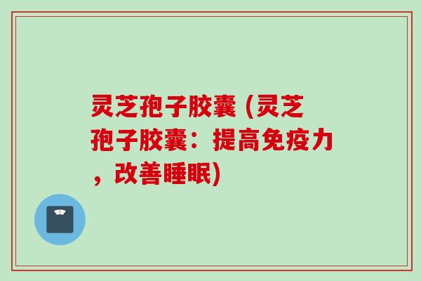灵芝孢子胶囊 (灵芝孢子胶囊：提高免疫力，改善睡眠)