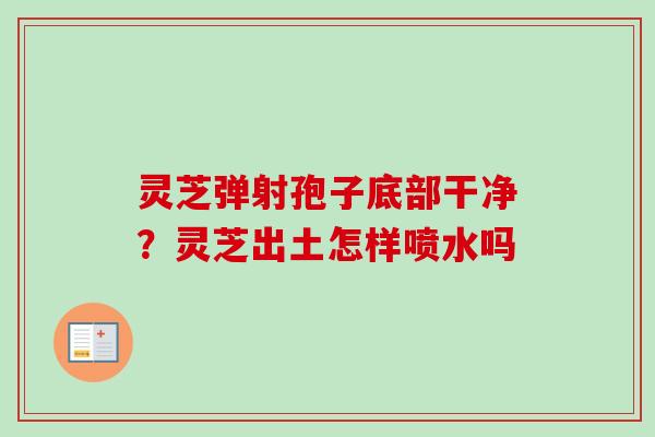 灵芝弹射孢子底部干净？灵芝出土怎样喷水吗