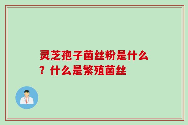 灵芝孢子菌丝粉是什么?什么是繁殖菌丝 灵芝孢子菌丝粉是什么?什么是繁殖菌丝
