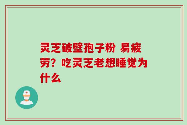 灵芝破壁孢子粉 易疲劳？吃灵芝老想睡觉为什么