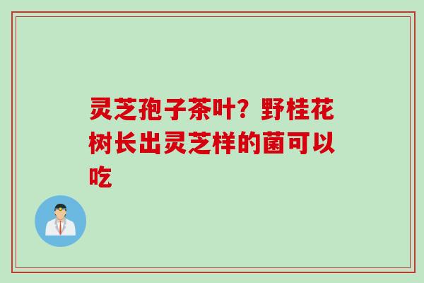 灵芝孢子茶叶？野桂花树长出灵芝样的菌可以吃