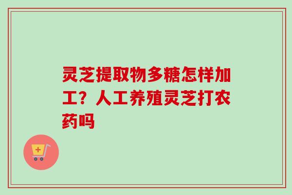灵芝提取物多糖怎样加工？人工养殖灵芝打农药吗