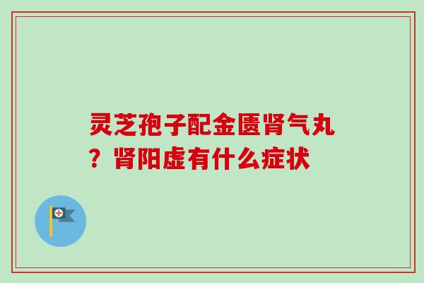 灵芝孢子配金匮肾气丸？肾阳虚有什么症状