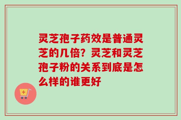 灵芝孢子药效是普通灵芝的几倍？灵芝和灵芝孢子粉的关系到底是怎么样的谁更好
