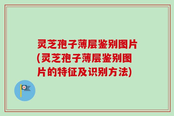 灵芝孢子薄层鉴别图片(灵芝孢子薄层鉴别图片的特征及识别方法)