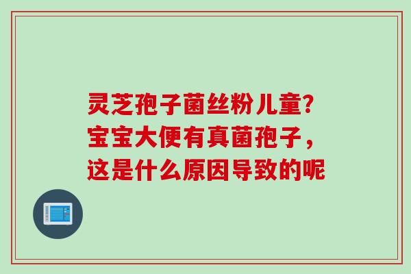 灵芝孢子菌丝粉儿童？宝宝大便有真菌孢子，这是什么原因导致的呢
