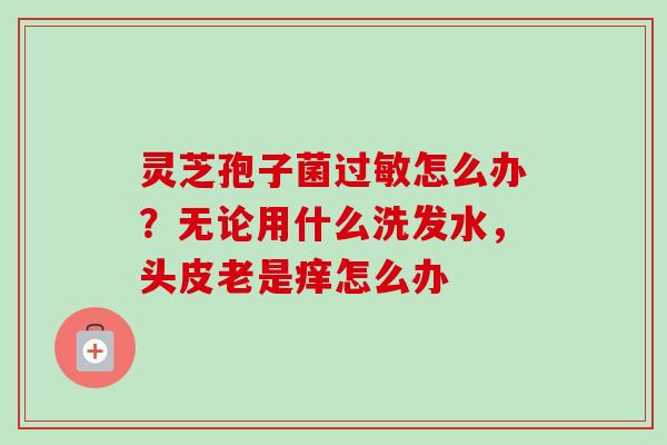 灵芝孢子菌过敏怎么办？无论用什么洗发水，头皮老是痒怎么办