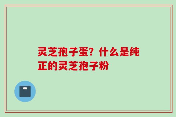 灵芝孢子蛋？什么是纯正的灵芝孢子粉