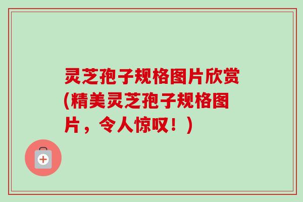 灵芝孢子规格图片欣赏(精美灵芝孢子规格图片，令人惊叹！)