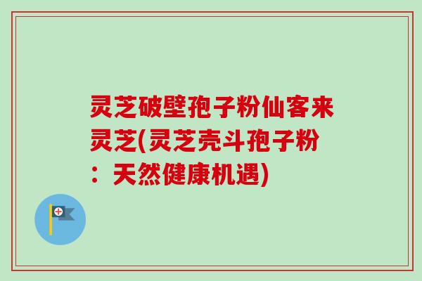灵芝破壁孢子粉仙客来灵芝(灵芝壳斗孢子粉：天然健康机遇)