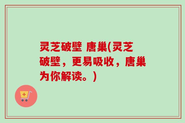 灵芝破壁 唐巢(灵芝破壁，更易吸收，唐巢为你解读。)