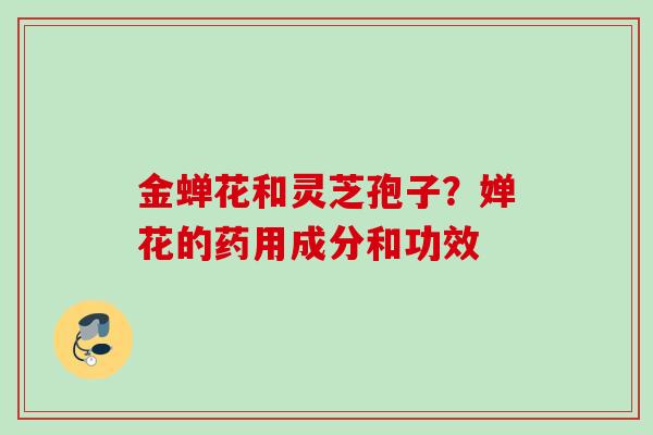 金蝉花和灵芝孢子？婵花的药用成分和功效