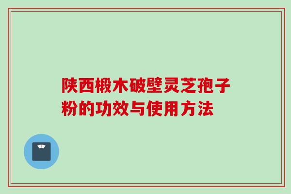 陕西椴木破壁灵芝孢子粉的功效与使用方法