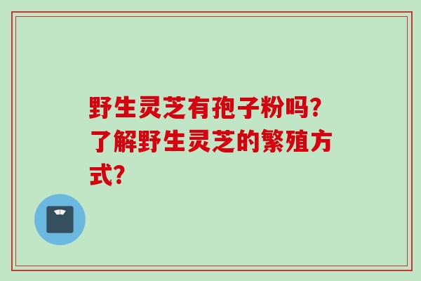 野生灵芝有孢子粉吗？了解野生灵芝的繁殖方式？