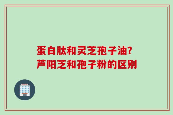 蛋白肽和灵芝孢子油？芦阳芝和孢子粉的区别