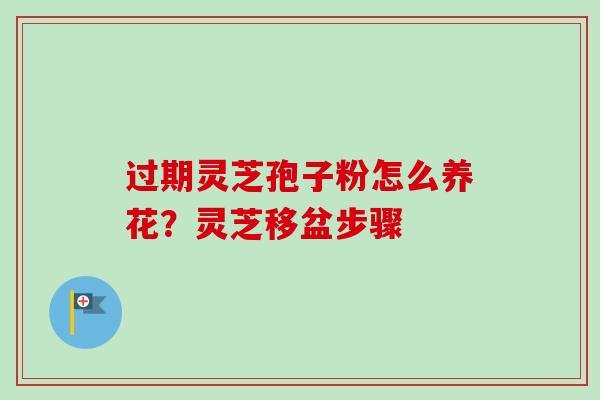 过期灵芝孢子粉怎么养花？灵芝移盆步骤