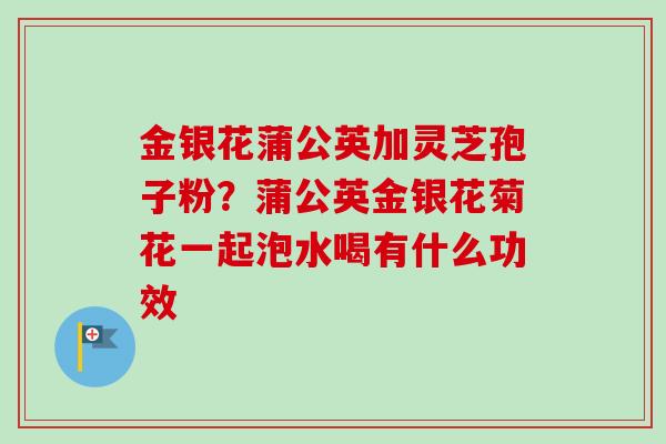 金银花蒲公英加灵芝孢子粉？蒲公英金银花菊花一起泡水喝有什么功效