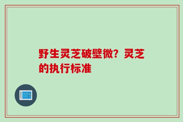野生灵芝破壁微？灵芝的执行标准